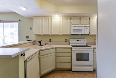 Corian Counters and Sink