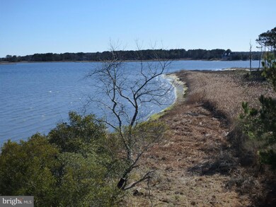 3308 Points Reach, Berlin, MD 21811 - photo 7