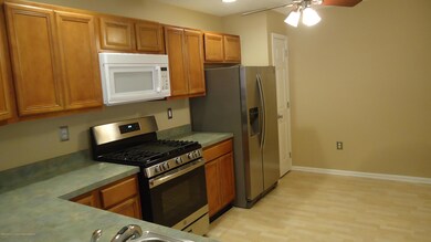 Kitchen-stainless steel appliances