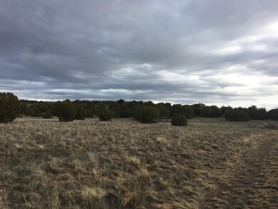 1850 E Aiken Ranch Rd, Paulden, AZ 86334 - photo 4