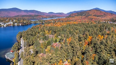 Raccoon4InLakePlacid_A_Exterior_To_White