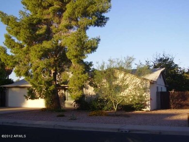 energy saving mature shade trees