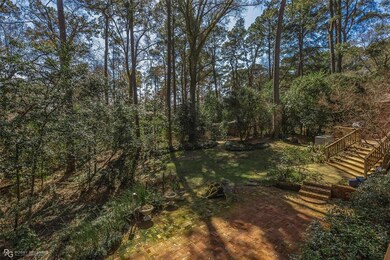 Back-yard