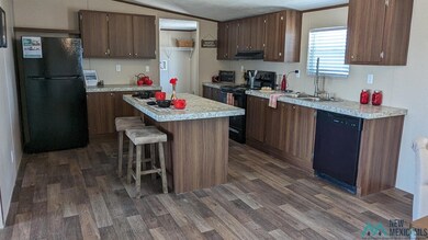 4209 Mimosa St, Carlsbad, NM 88220 - photo 6