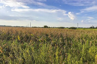 136 +/- Acres K-96 and 119th St, Maize, KS 67101 - photo 5