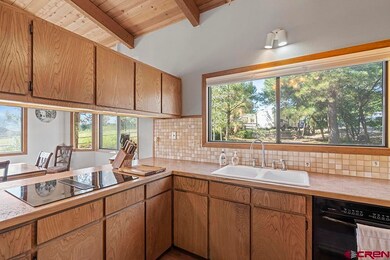 35 Elm Ct, Durango, CO 81301 - photo 7