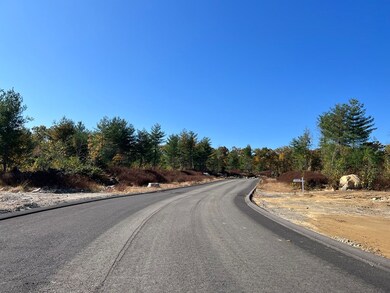 Lot 96 Turning Leaf Rd, Ludlow, MA 01056 - photo 2