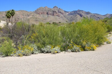 View of Moutnains from Front of Property