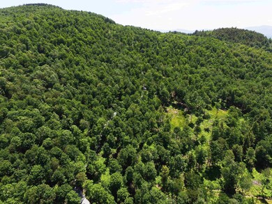 3410 Us Route 4 unit Lot 1, Mendon, VT 05701 - photo 6