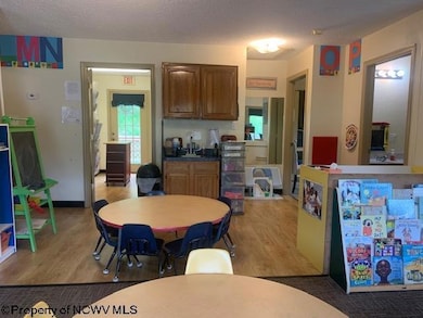 619 Clarksburg Rd, Buckhannon, WV 26201 - photo 4