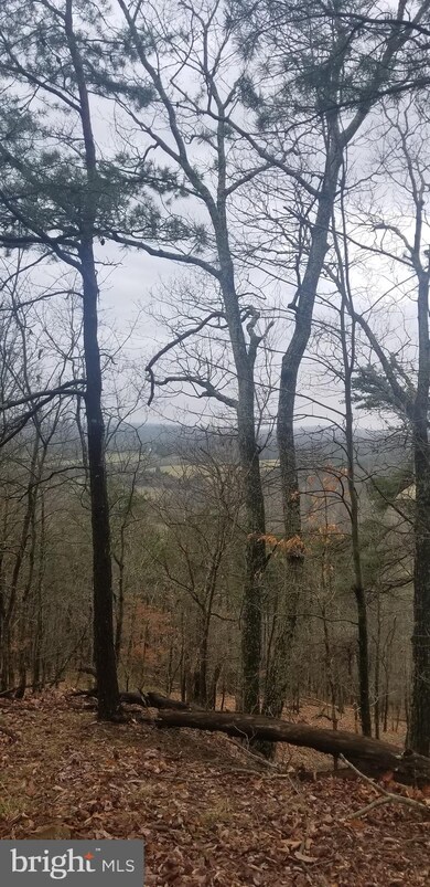 0 Luther Michael Rd unit 38/8 WVMO118248, Berkeley Springs, WV 25411 - photo 2