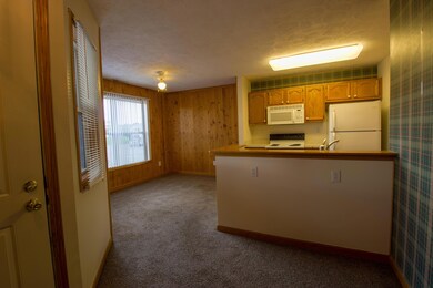 663 Millcrest Dr unit 663A, Marysville, OH 43040 - photo 2
