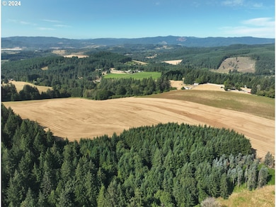 45035 NW Star St, Banks, OR 97106 - photo 3