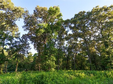 Ground-level image of the front portion of the 4.9