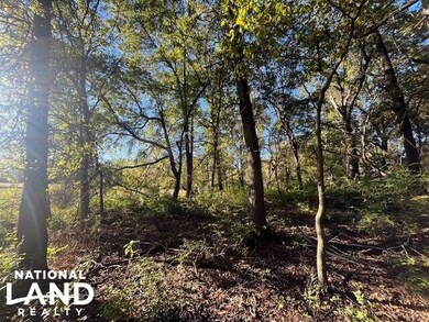 00000 E Hwy 400 unit Weir KS 66781, Weir, KS 66781 - photo 5