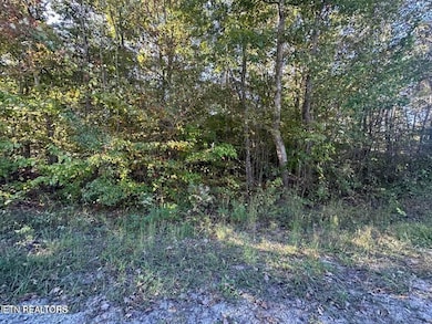 11432696-25Pntvm9n2CjyDRB