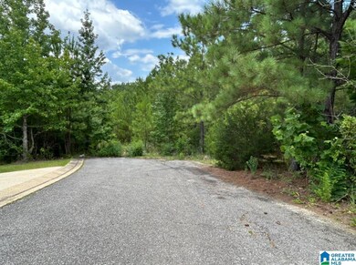 23 Acres Truman Aldrich Pkwy unit 23 ACRES, West Blocton, AL 35184 - photo 6