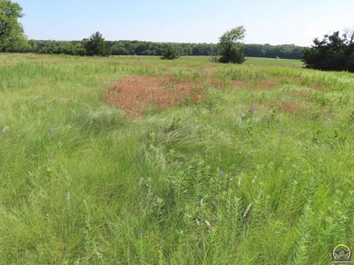 0 East Rd unit Tract B, Cedar, KS 66843 - photo 6