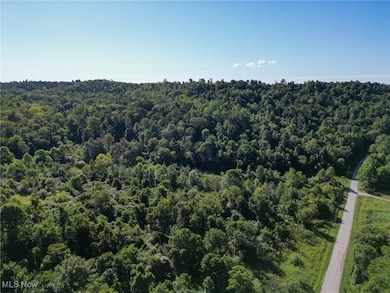 0 Greenlawn Rd unit 4, Quaker City, OH 43773 - photo 6