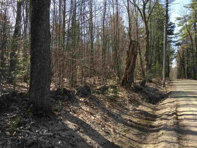 36 Effingham Rd, Ossipee, NH 03864 - photo 2