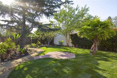 Parklike Backyard