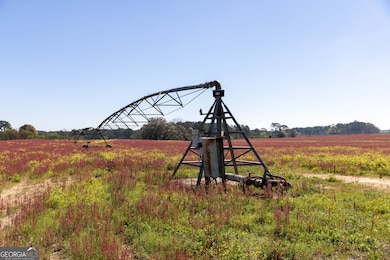 0 Lost Rd, Arabi, GA 31712 - photo 2