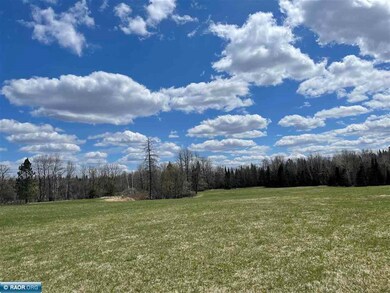 TBD Highway 29, Floodwood, MN 55736 - photo 6