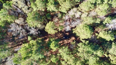 TBD County Road 2921, Hughes Springs, TX 75656 - photo 3