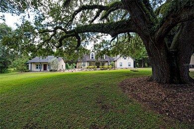 Front Granddaddy Oak