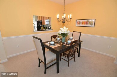 6004 Madison Overlook Ct, Falls Church, VA 22041 - photo 7