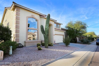 Prickly pear 3