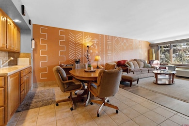 314 N Tamarron Dr unit 203, Durango, CO 81301 - photo 3