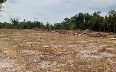 0 SW 79th Dr unit 118331, Jasper, FL 32052 - photo 5