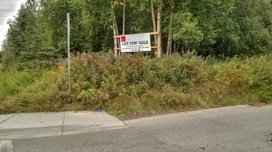 Tr E Debarr Rd, Anchorage, AK 99504 - photo 6