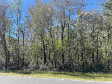 xx Spring Creek Hwy, Crawfordville, FL 32327 - photo 3