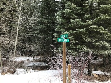 3 Allen Rd unit 69, Cascade, ID 83611 - photo 3