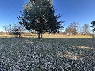 4421 Carpenter Rd, Reading, MI 49274 - photo 2