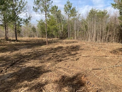 0000 Riddle Mill Rd, Clover, SC 29710 - photo 5