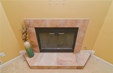 Gas fireplace