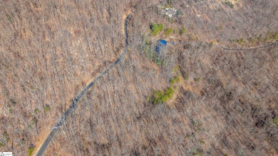 00 Wild Ginger Rd, Landrum, SC 29356 - photo 4