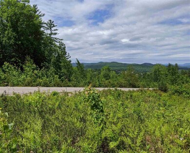 lot 10 Chaddarin Ln unit 10, Plymouth, NH 03264 - photo 4