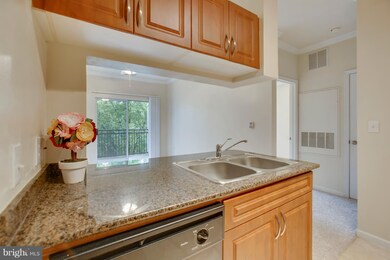 Bryson At Woodland Park unit 308, Herndon, VA 20171 - photo 7