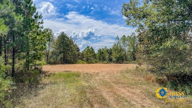 0 Hurricane Creek Rd, Stewart, TN 37175 - photo 7