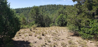 33179 Turkey Creek Ln unit Parcel B72, Trinidad, CO 81082 - photo 3