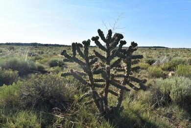 0 Lizard Ln, Gardner, CO 81040 - photo 3