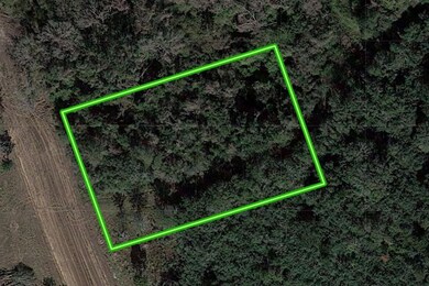 4607 Shadow Pond Ln, Alvin, TX 77511 - photo 2