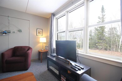 28 Packards Rd unit 216, Waterville Valley, NH 03215 - photo 3