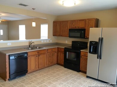 25034 Longbranch Run, San Antonio, TX 78261 - photo 5