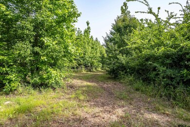 0 Cr 345 unit 25007450, Winona, TX 75792 - photo 7