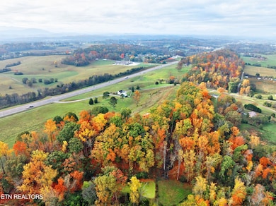9-web-or-mls-4217-hwy-411